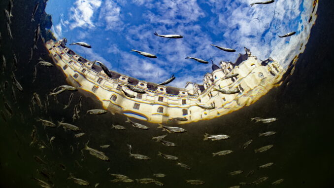 Cette photo du château de Chenonceau fait partie de l'exposition. Photo Bruno Guénard / Biosphoto